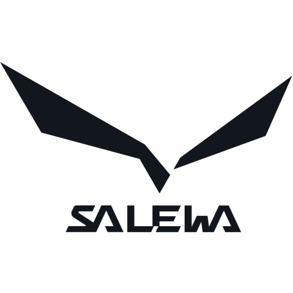Salewa "ALP TRAINER 2 GTX M" - onyx/black